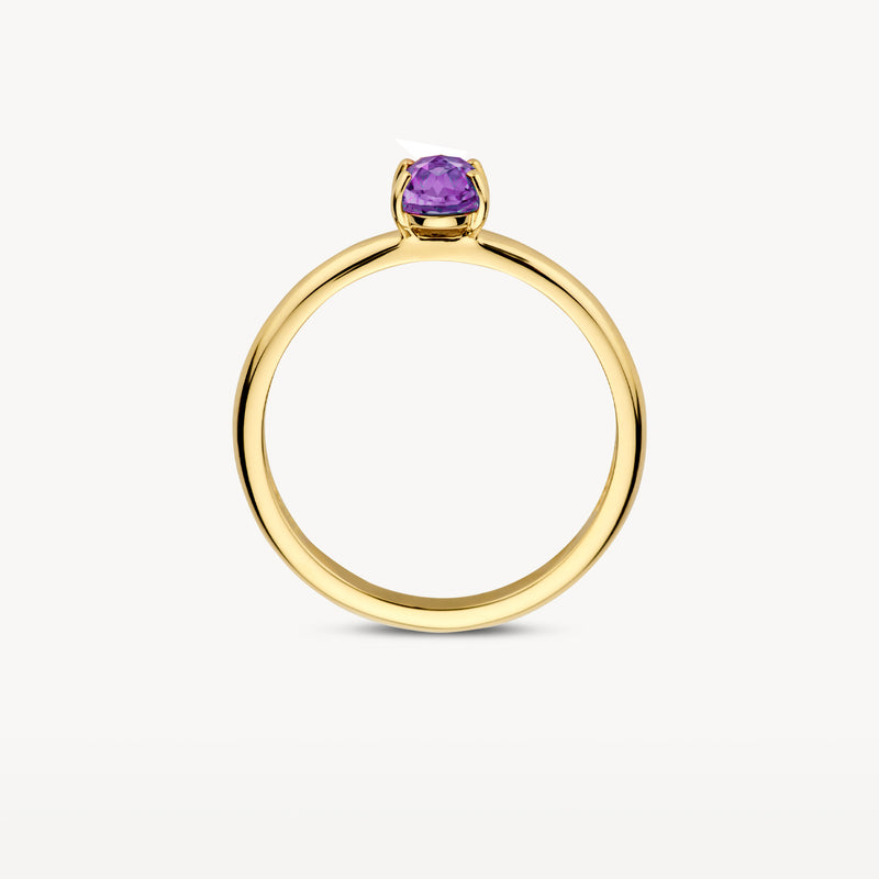 Ring 1242YAM - 14k Geelgoud met Amethyst