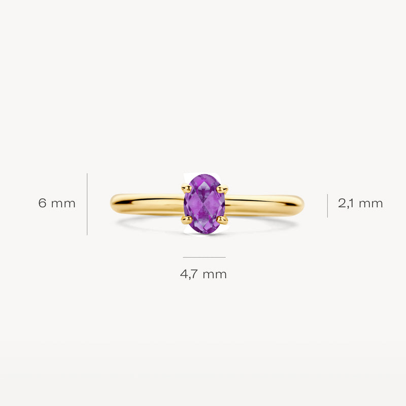 Ring 1242YAM - 14k Geelgoud met Amethyst