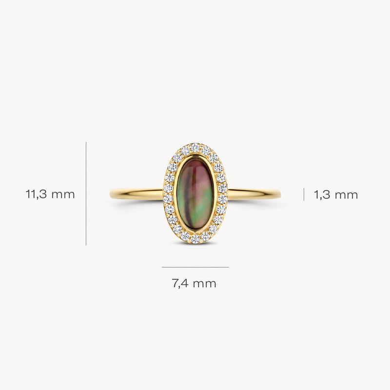 Ring 1279YBQ - 14k Gold with Black Pearl and Zirconia
