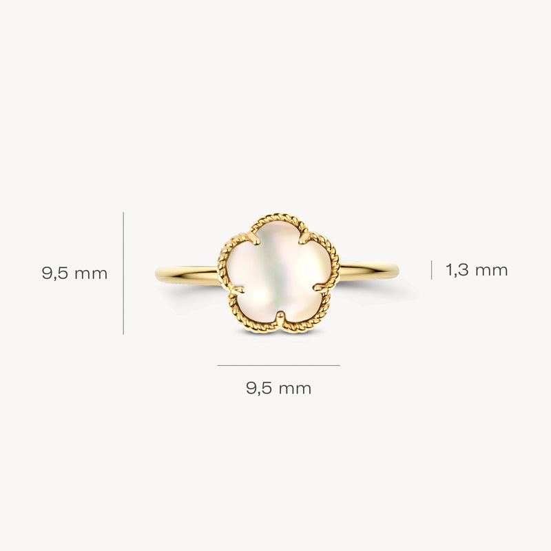 Ring 1281YMQ - 14k Gold with mother of pearl