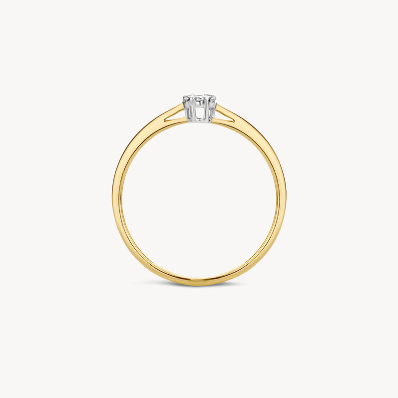 Ring 1609BDI - 14k Yellow and White Gold with diamond
