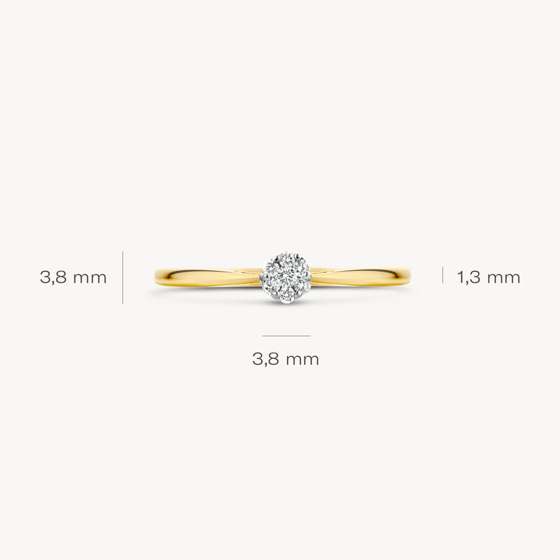 Ring 1609BDI - 14k Geel en Wit Goud met Diamant