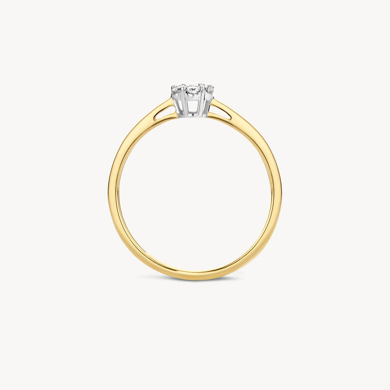 Ring 1611BDI - 14k Yellow and White Gold with Diamond