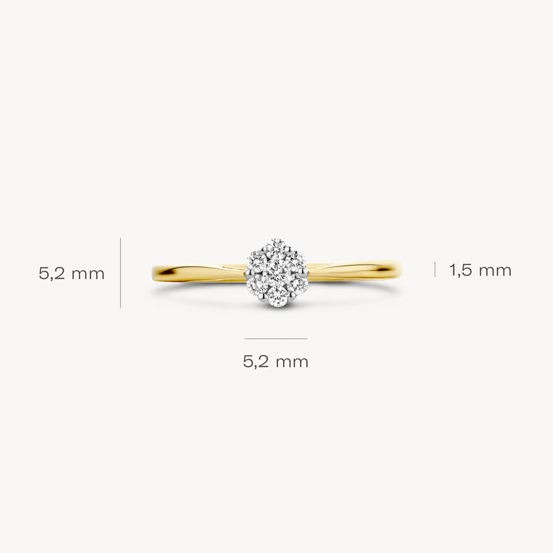 Ring 1611BDI - 14k Geel en Wit Goud met Diamant