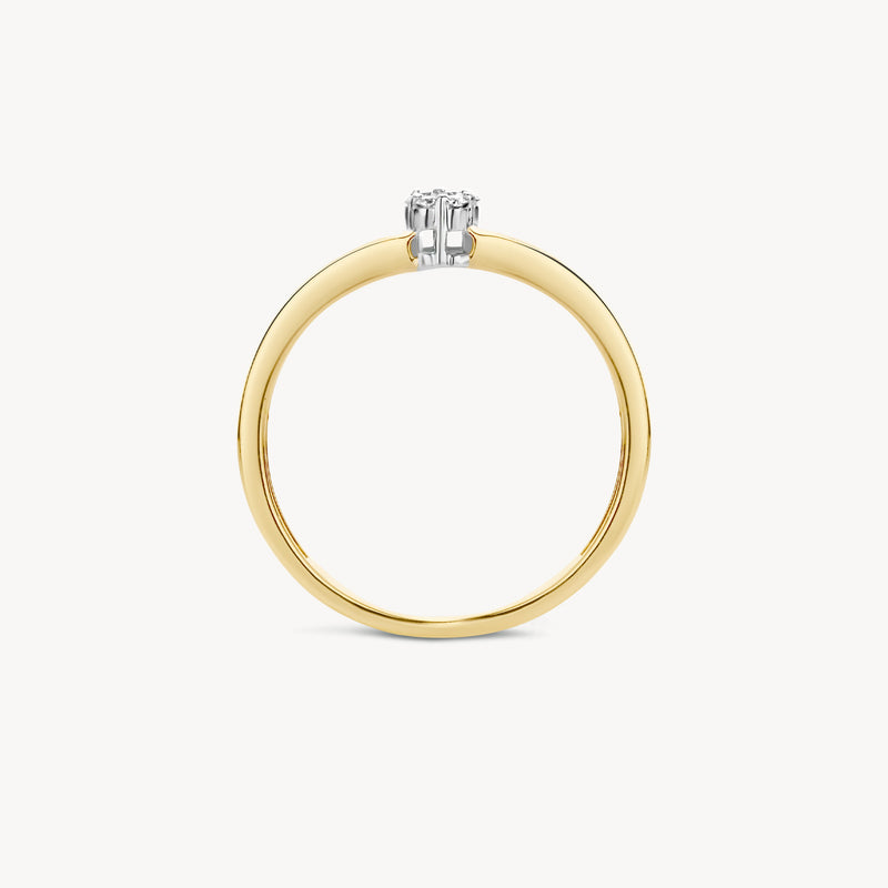 Ring 1623BDI - 14k Geel en Wit Goud met Diamant