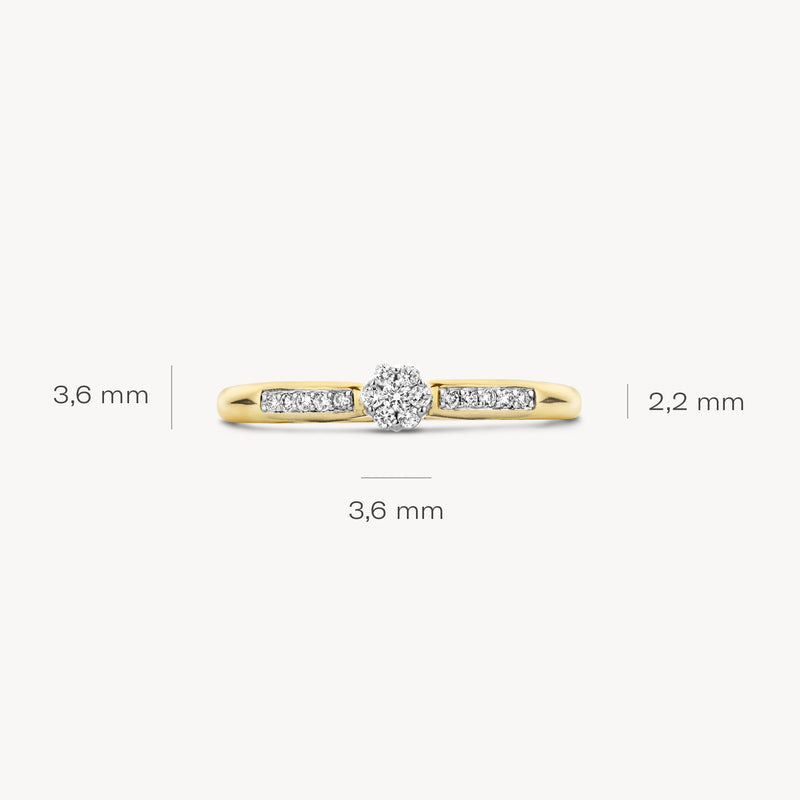 Ring 1625BDI - 14k Geel en Wit Goud met Diamant