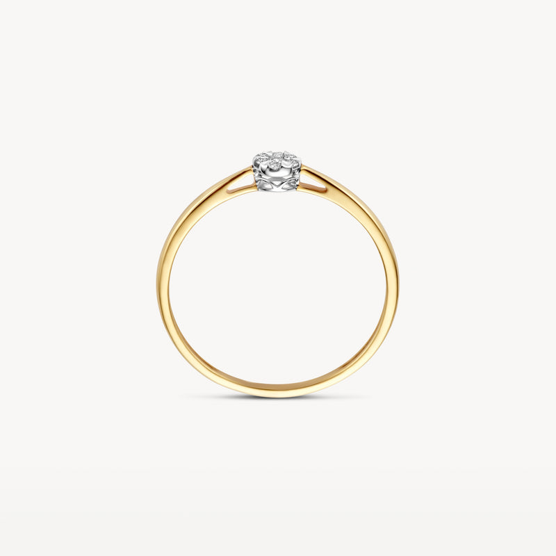 Diamanten ring 1675BDI - 14k Geel en wit goud