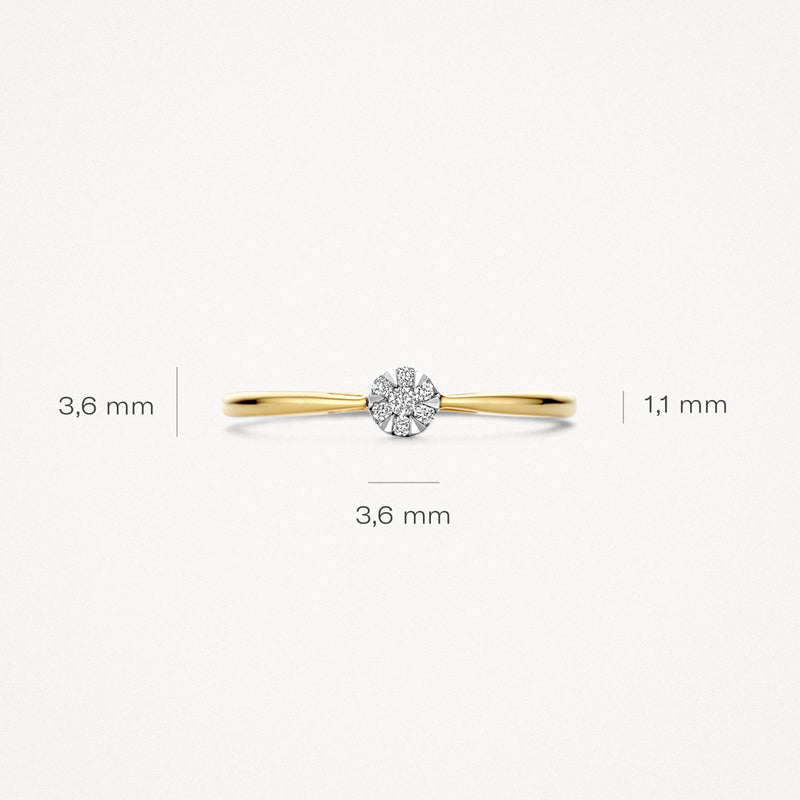 Ring 1675BDI - 14k Yellow and white gold with Diamond