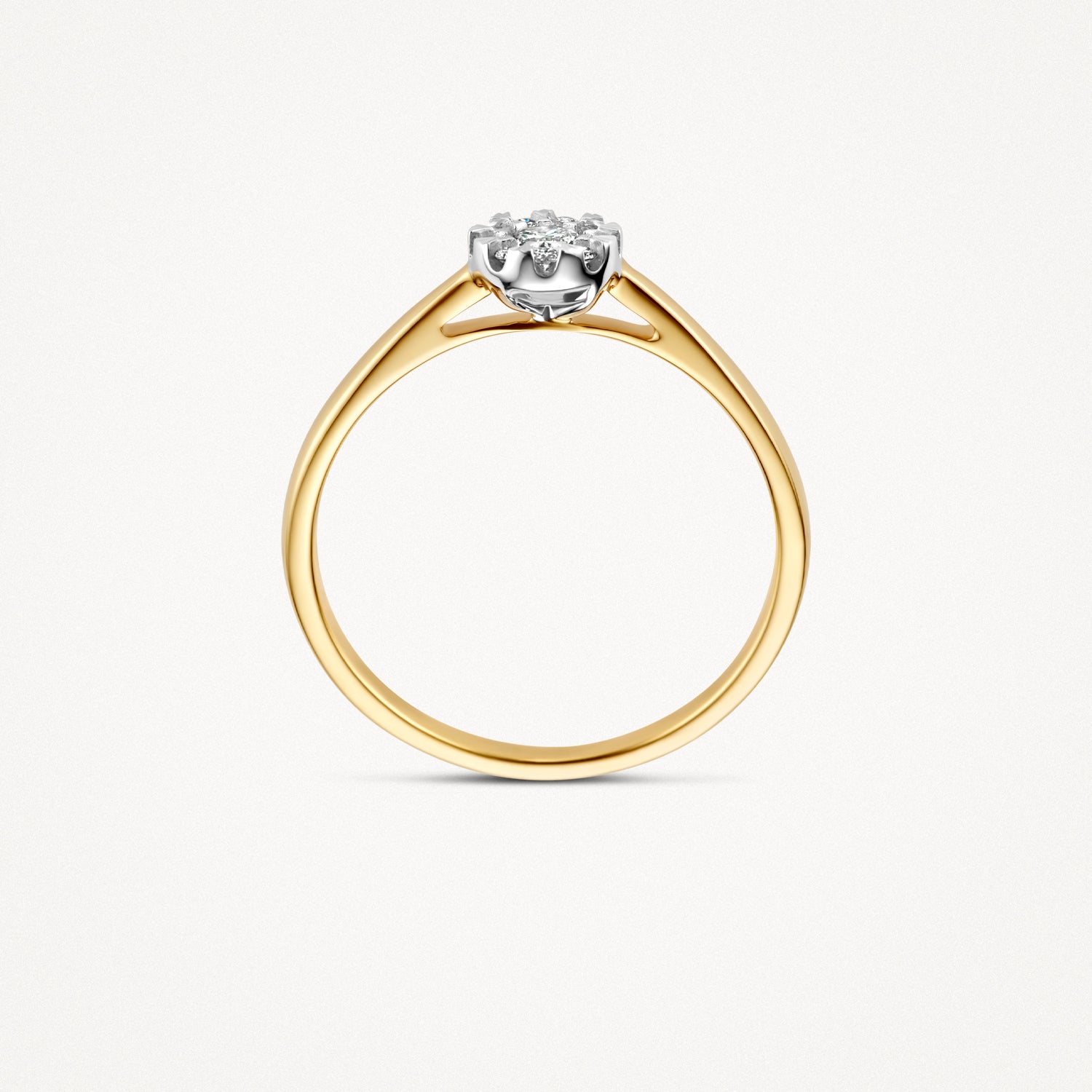 Ring 1677BDI - 14k Geel en Wit goud met diamant