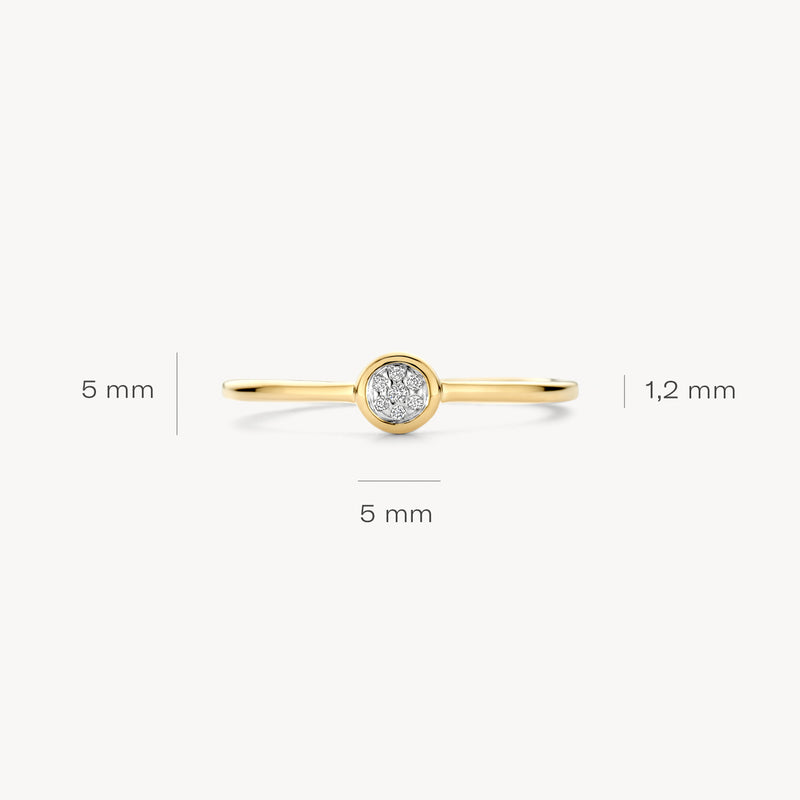 Diamanten ring 1679BDI - 14k Geel en wit goud