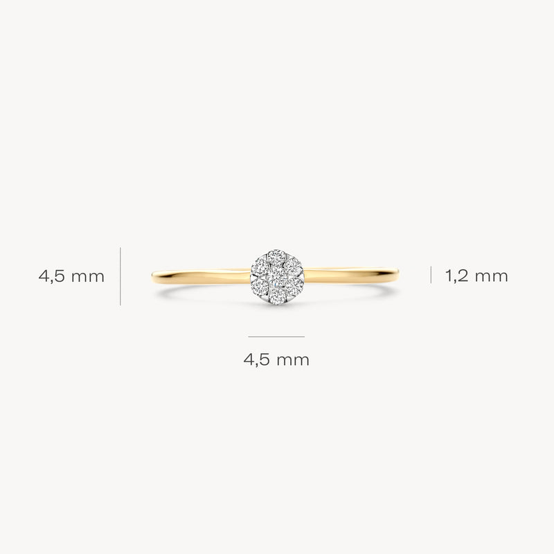 Diamanten ring 1680BDI - 14k Geel en wit goud