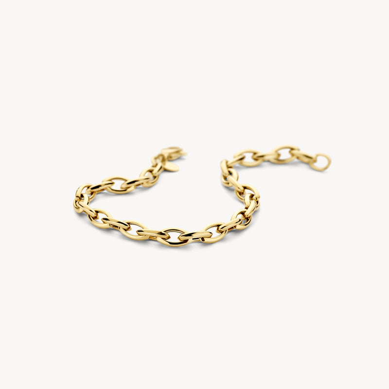 Armband van 14k goud met grove schakels en ronde sluiting.