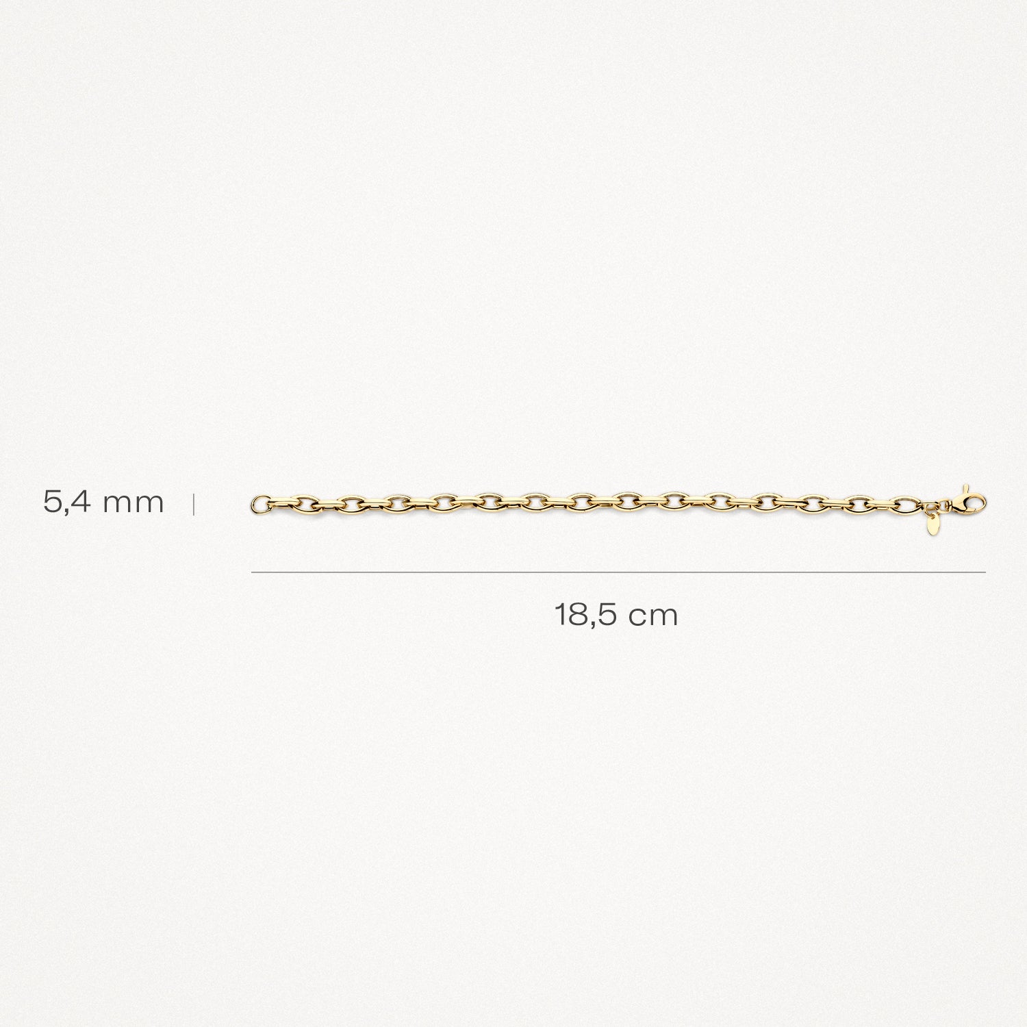 Armband van 14k goud met grove schakels, 18,5 cm lang en 5,4 mm breed.