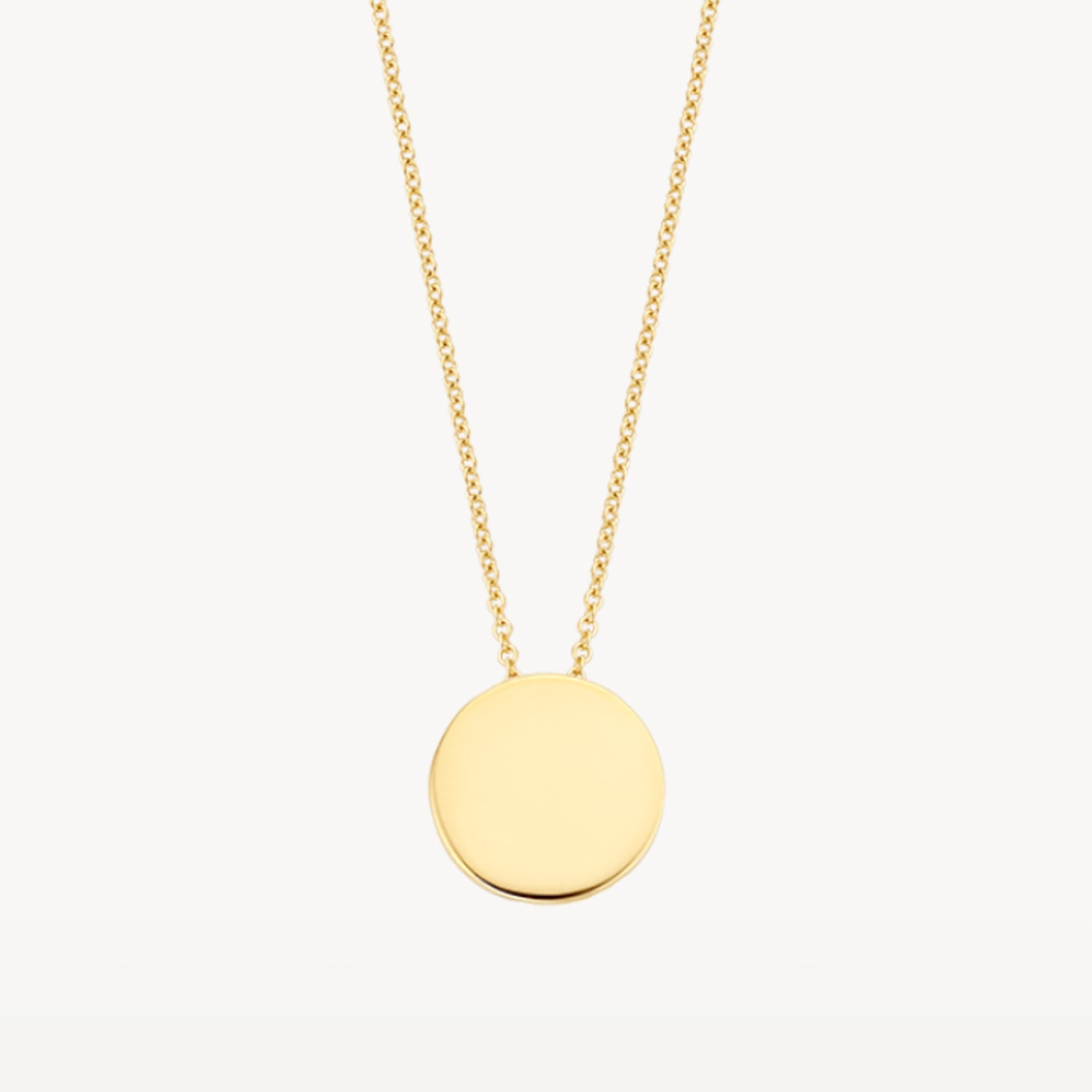 Ketting met munt hanger ⌀ 10 mm 14k goud