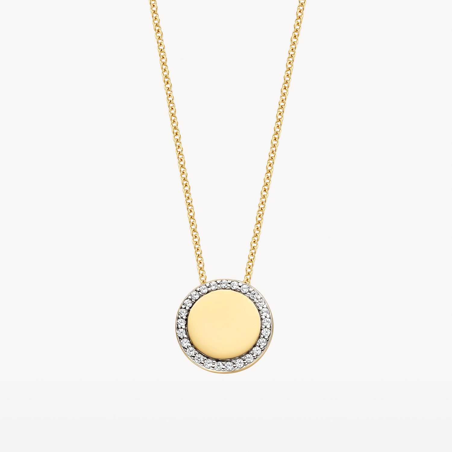 Ketting met plaatje met zirkonia rand 14k goud