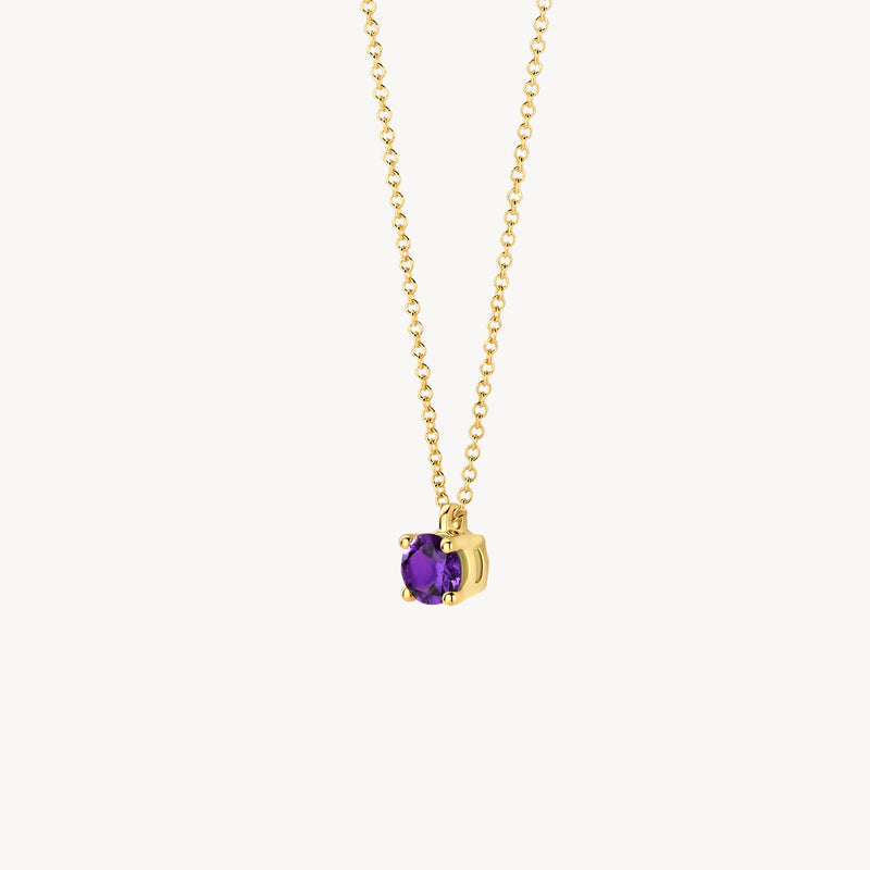 Necklace (February) 3200YAM - 14k Yellow gold with Amethyst