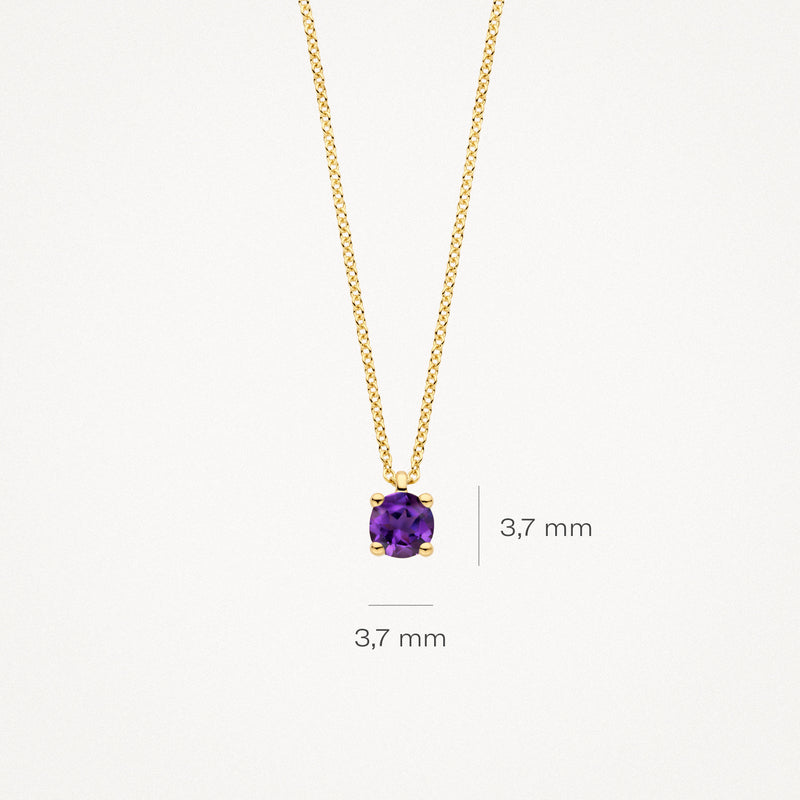 Collier (Februari) 3200YAM - 14k Geel Goud met Amethyst