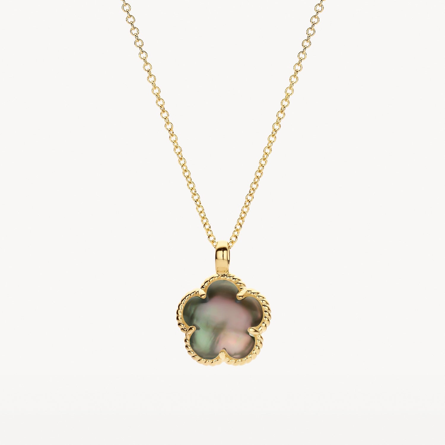 Collier en or jaune 14 carats avec pendentif Nacre noire, gros plan.