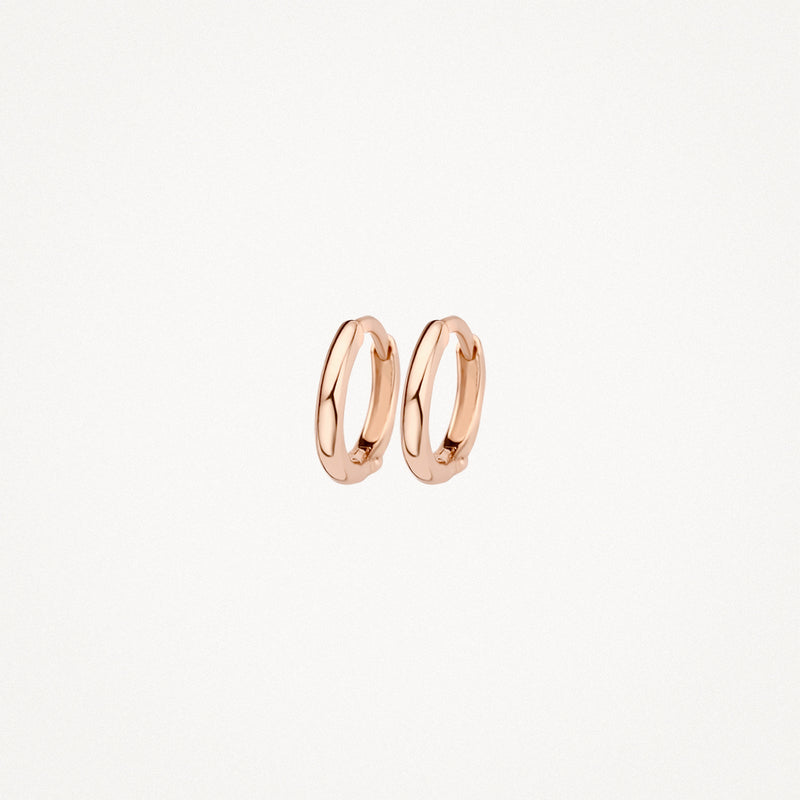 Earrings 7221RGO - 14k Rose Gold