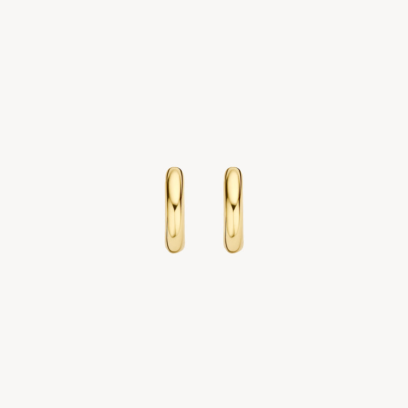 Earrings 7221YGO - 14k Yellow Gold