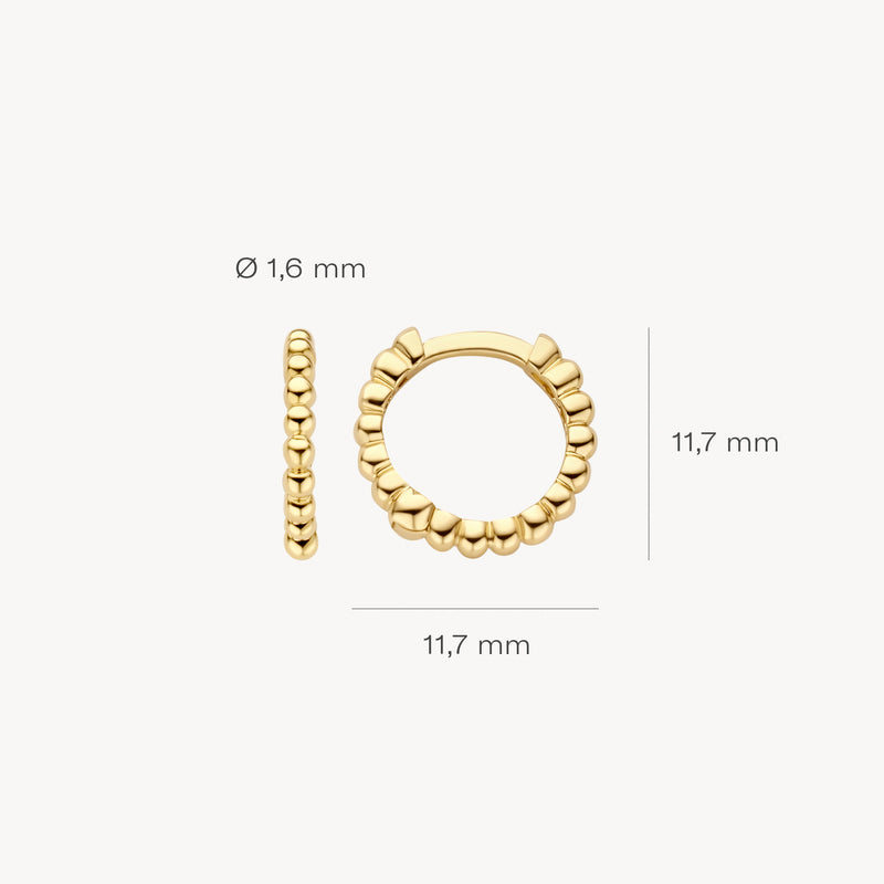 Earrings 7264YGO - 14k Yellow gold