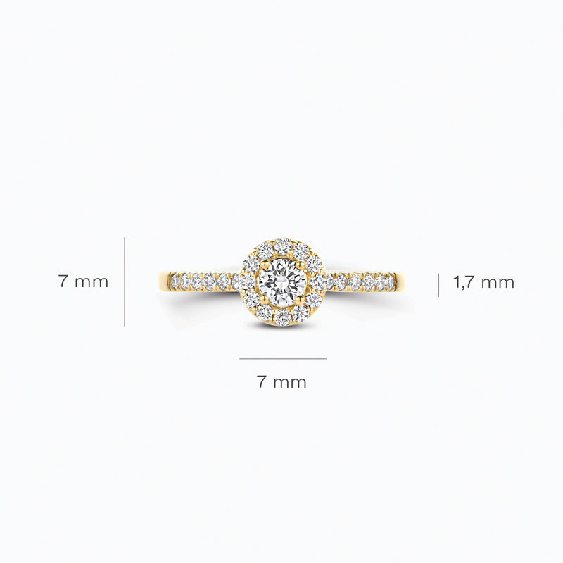 Lab Diamonds Ring LG1058Y - 14k Gold