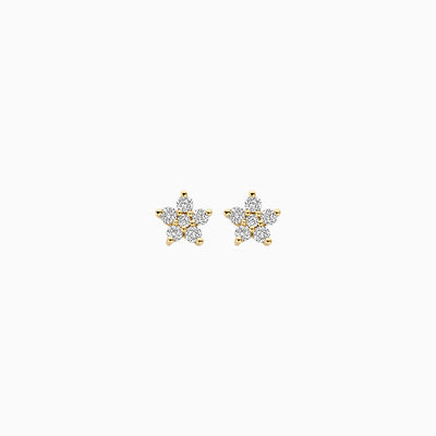 Lab Diamonds Earstuds LG7018Y - 14k Yellow Gold