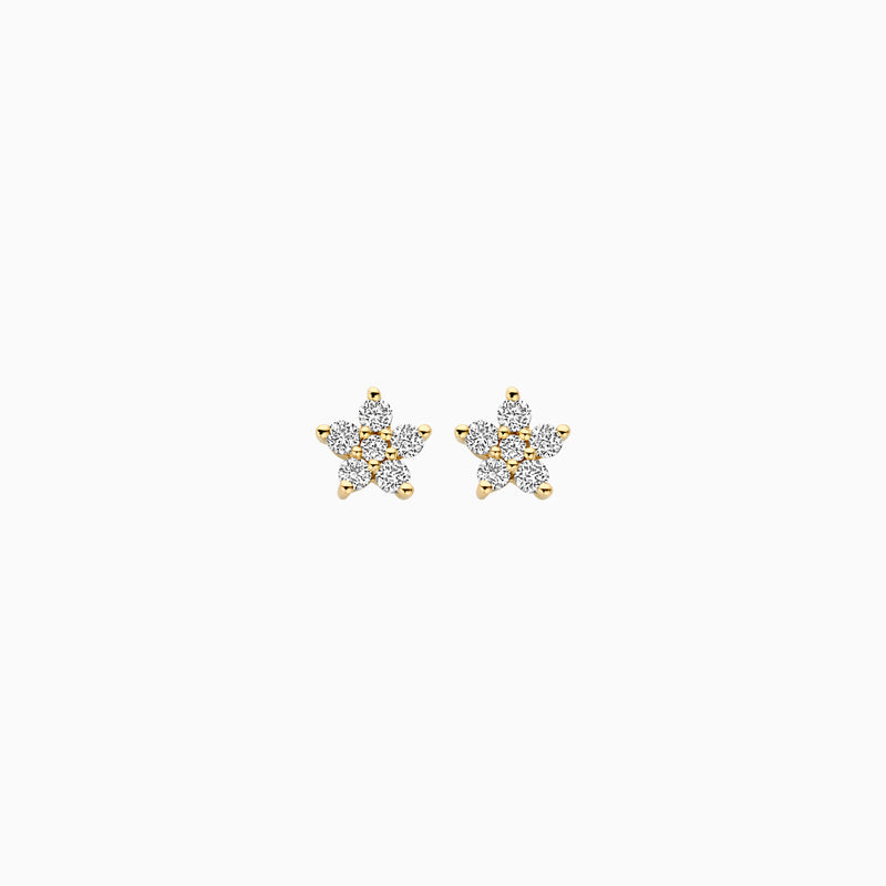 Lab Diamonds Earstuds LG7018Y - 14k Yellow Gold