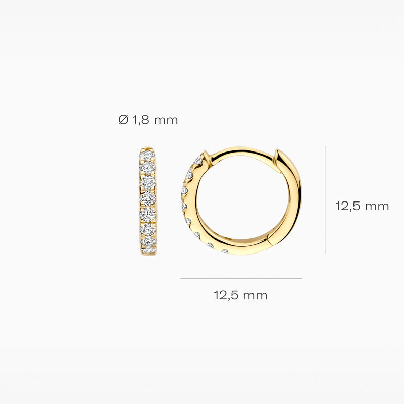 Lab diamonds oorringen LG7029Y - 14k Geelgoud